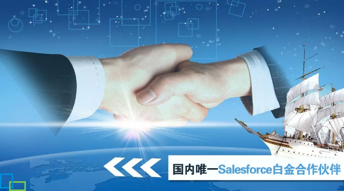 作为国内唯一Salesforce白金合作伙伴，雨花石能帮助到你这些